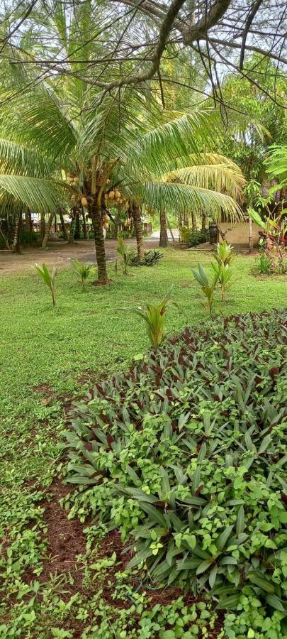 Selong Belanak Bungalows Exterior photo